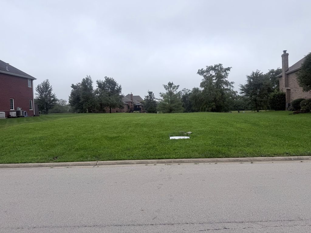 25538 S Devonshire Lane, Monee, IL 60449