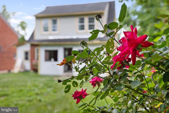 564 ORCHARD ST, Strasburg, VA 22657