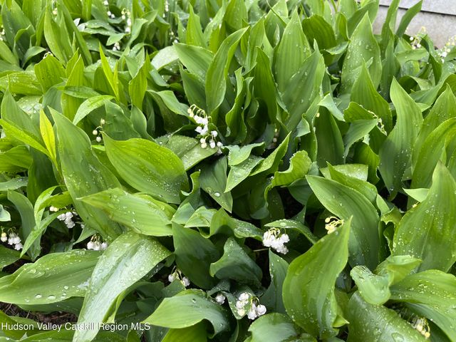 27 Grays Lane, Tannersville, NY 12485