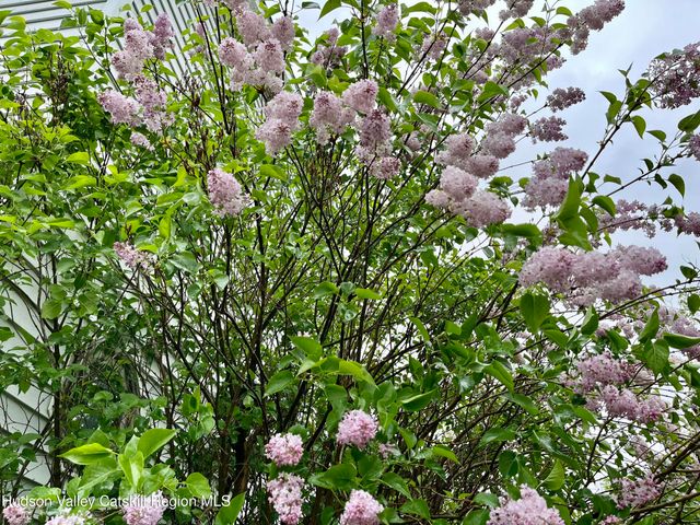 27 Grays Lane, Tannersville, NY 12485