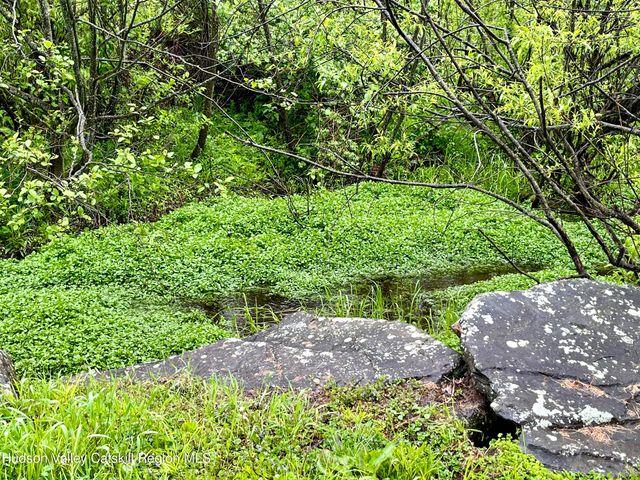 27 Grays Lane, Tannersville, NY 12485