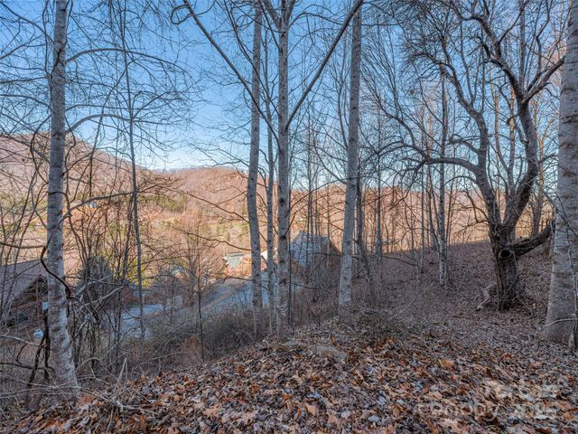 000 Appalachian Trail, Maggie Valley, NC 28751