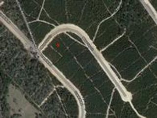 11816 Moss Grove Court, Willis, TX 77378
