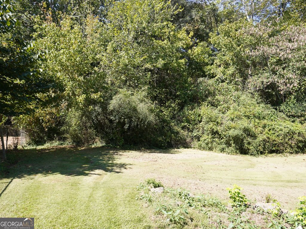 4.99 ACRES Tye St, Stockbridge, GA 30281 — photo 5