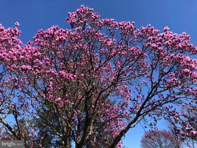 725 SPRINGDELL RD, King Of Prussia, PA 19406