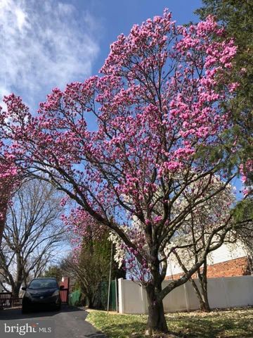 725 SPRINGDELL RD, King Of Prussia, PA 19406