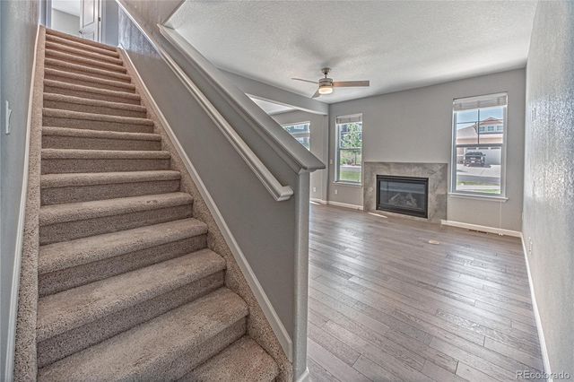 1306 Promontory Bluff View, Colorado Springs, CO 80921