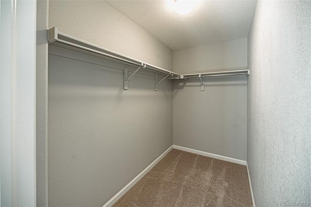 1306 Promontory Bluff View, Colorado Springs, CO 80921