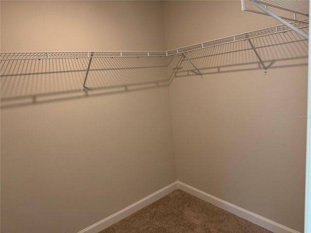 7518 DEER VALLEY CIRCLE, Tampa, FL 33635