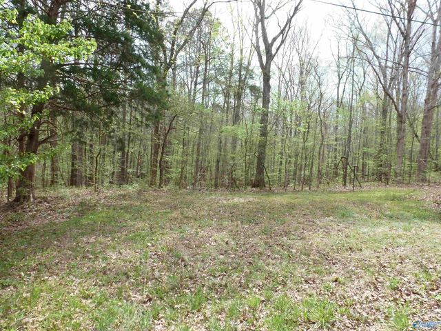 2330 Ligon Springs Road, Russellville, AL 35654