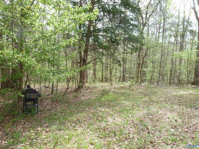 2330 Ligon Springs Road, Russellville, AL 35654