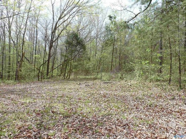 2330 Ligon Springs Road, Russellville, AL 35654