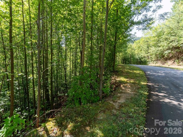 0 Anthony Court 2070, Mill Spring, NC 28756