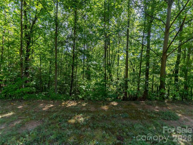 0 Anthony Court 2070, Mill Spring, NC 28756