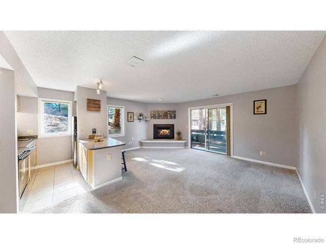 200 Riverside Drive 1, Estes Park, CO 80517