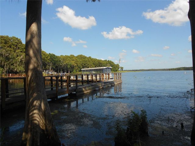 1166 GILLESPIE DRIVE, Palm Harbor, FL 34684