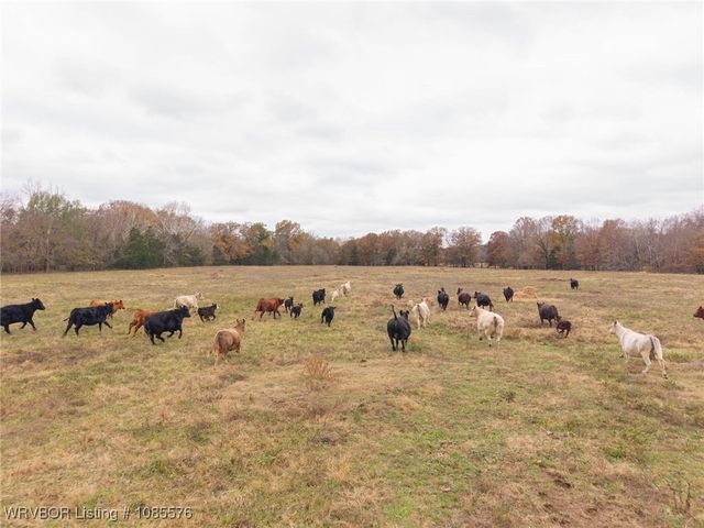 15095 Abbott Road, Mansfield, AR 72944