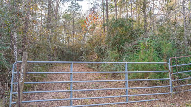 162 Meadow Ln, Livingston, TX 77351