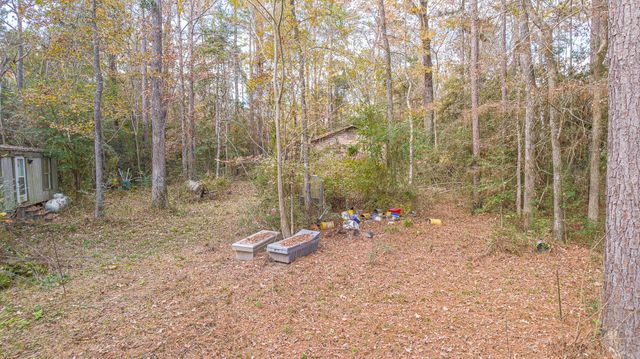 162 Meadow Ln, Livingston, TX 77351