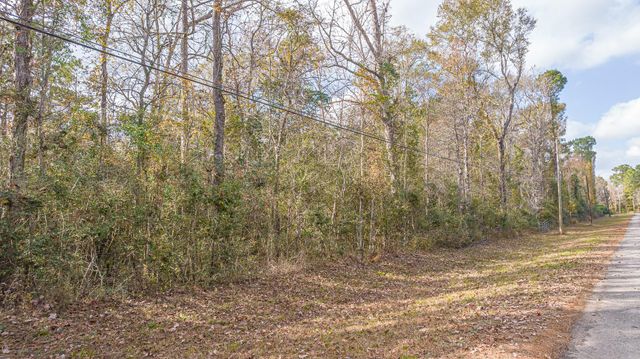 162 Meadow Ln, Livingston, TX 77351