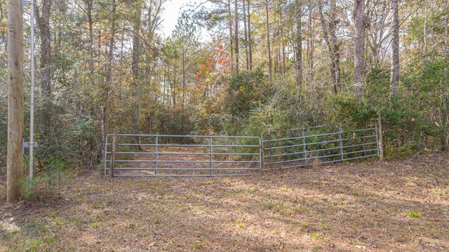 162 Meadow Ln, Livingston, TX 77351