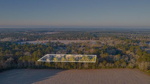 162 Meadow Ln, Livingston, TX 77351