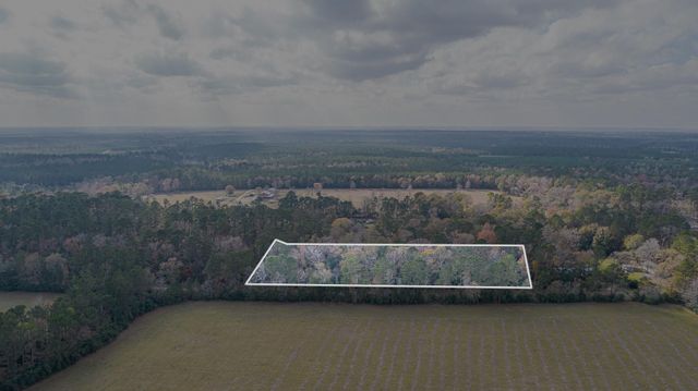 162 Meadow Ln, Livingston, TX 77351