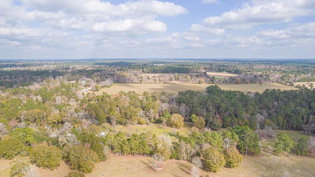 162 Meadow Ln, Livingston, TX 77351