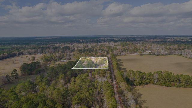 162 Meadow Ln, Livingston, TX 77351