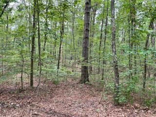 0 Shadow Rock Dr, Monteagle, TN 37356