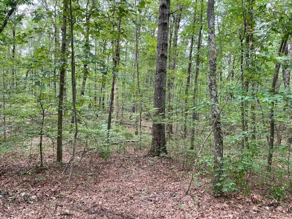 0 Shadow Rock Dr, Monteagle, TN 37356