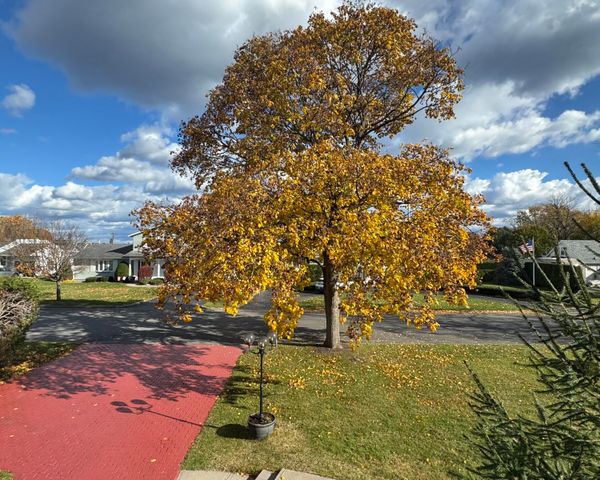 14 Olivetti Place, Plattsburgh, NY 12901