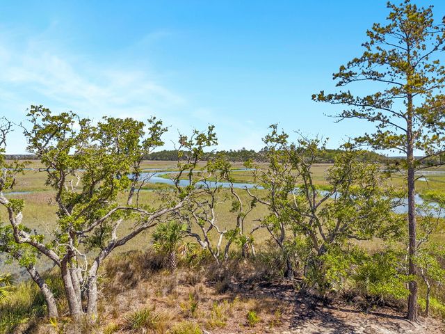314 River Oak Lot 2, Mount Pleasant, SC 29464