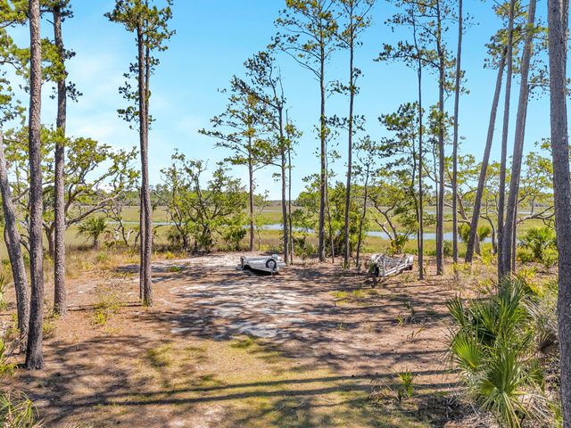 314 River Oak Lot 2, Mount Pleasant, SC 29464