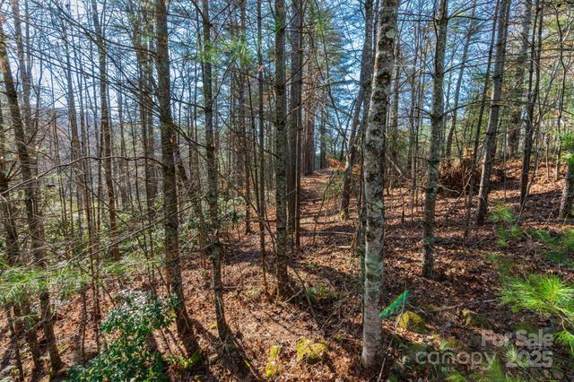 139 Chattooga Run 221, Hendersonville, NC 28739