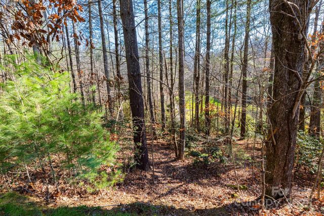 139 Chattooga Run 221, Hendersonville, NC 28739