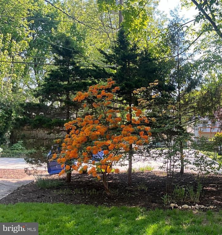 Image 97 of property listing at 207 HAWTHORNE RD, Baltimore, MD 21210