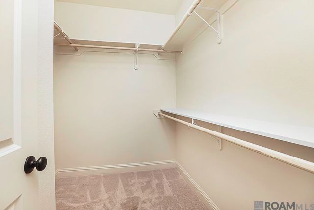 39225 Blue Heron Ct, Prairieville, LA 70769