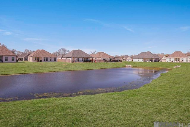 39225 Blue Heron Ct, Prairieville, LA 70769