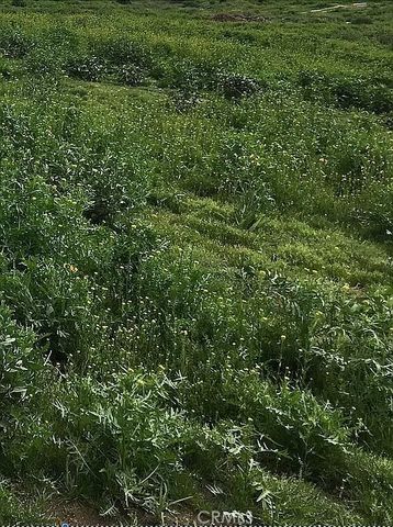 17900 Nandina Avenue, Riverside, CA 92508