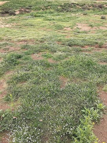 17900 Nandina Avenue, Riverside, CA 92508