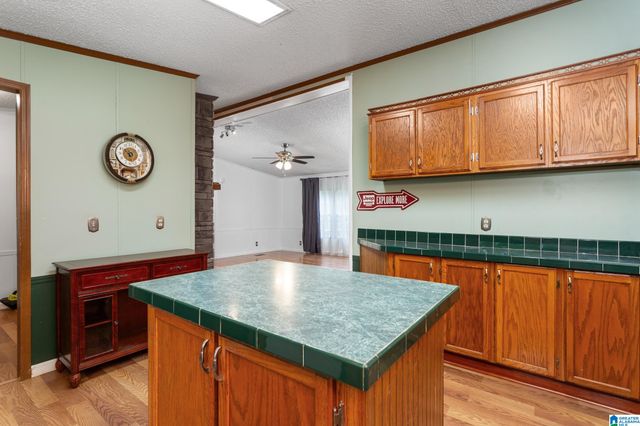 296 RIVER TERRACE DRIVE, Talladega, AL 35160