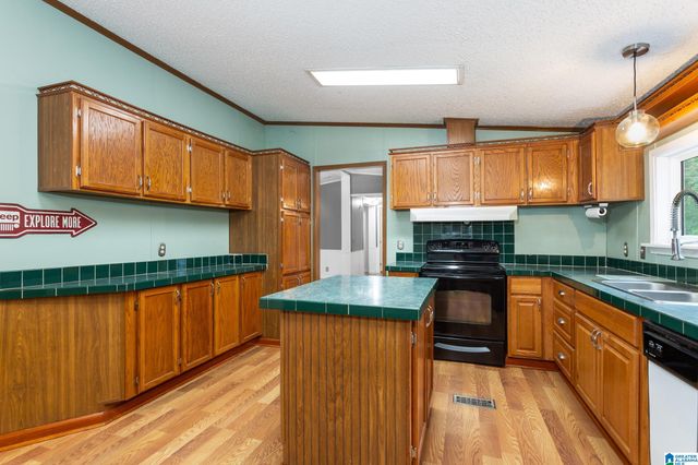 296 RIVER TERRACE DRIVE, Talladega, AL 35160