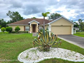 11026 Little Street, Spring Hill, FL 34608