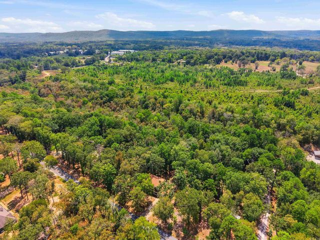 237 Longview Point, Hot Springs, AR 71913