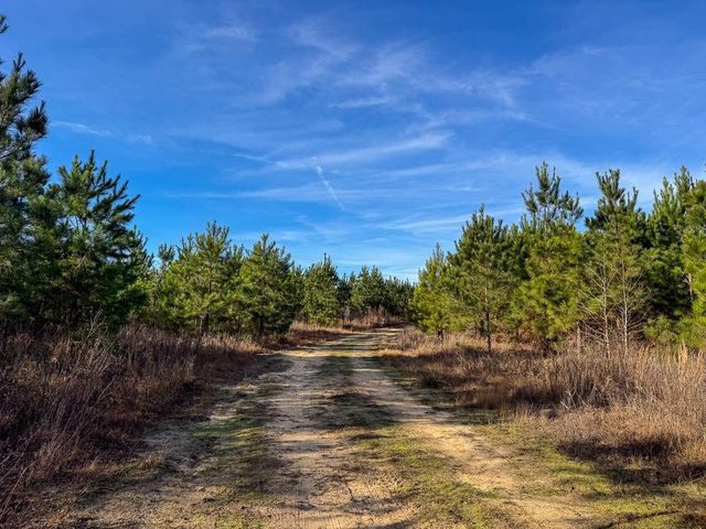 T-4 County Road 4245, De Kalb, TX 75559