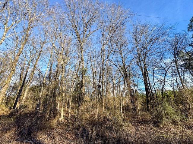 T-4 County Road 4245, De Kalb, TX 75559