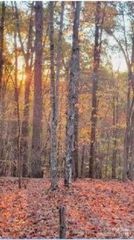 V/L Trellis Drive 117, Marion, NC 28761