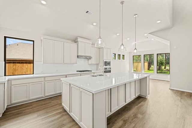 22013 Gateway Arch Drive, Porter, TX 77365