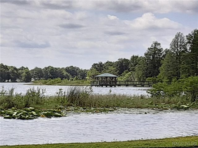 4525 N Grass Island Terrace, Hernando, FL 34442